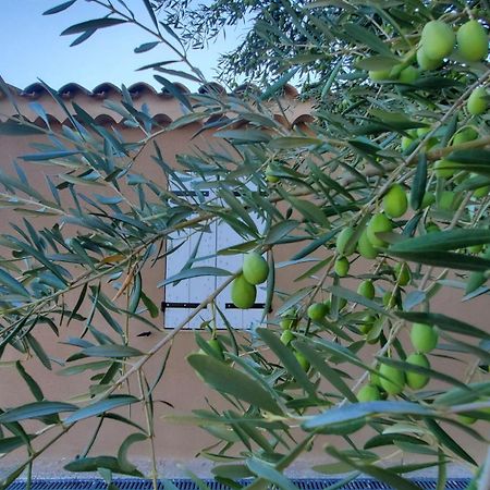 Villa Reve En Luberon Lauris Exterior foto