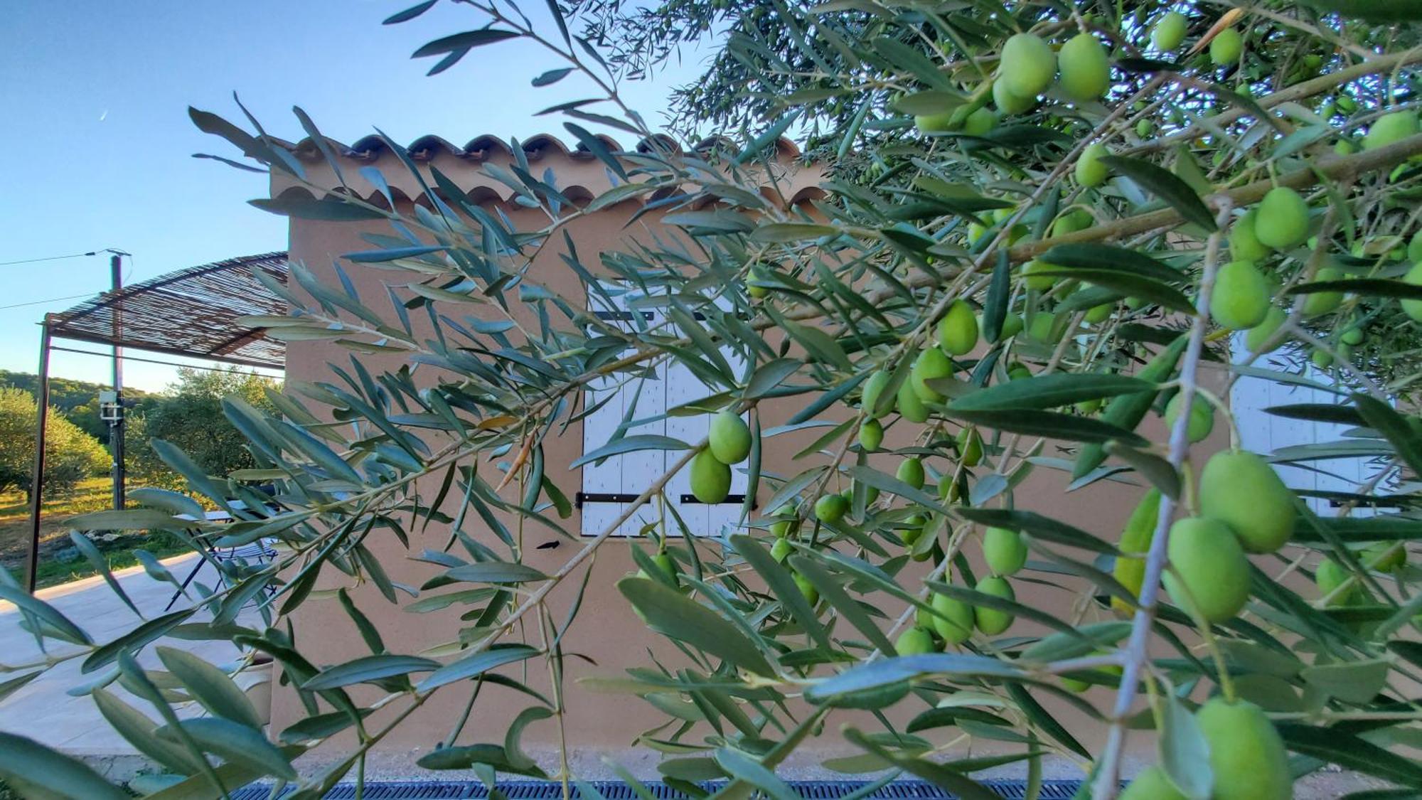 Villa Reve En Luberon Lauris Exterior foto